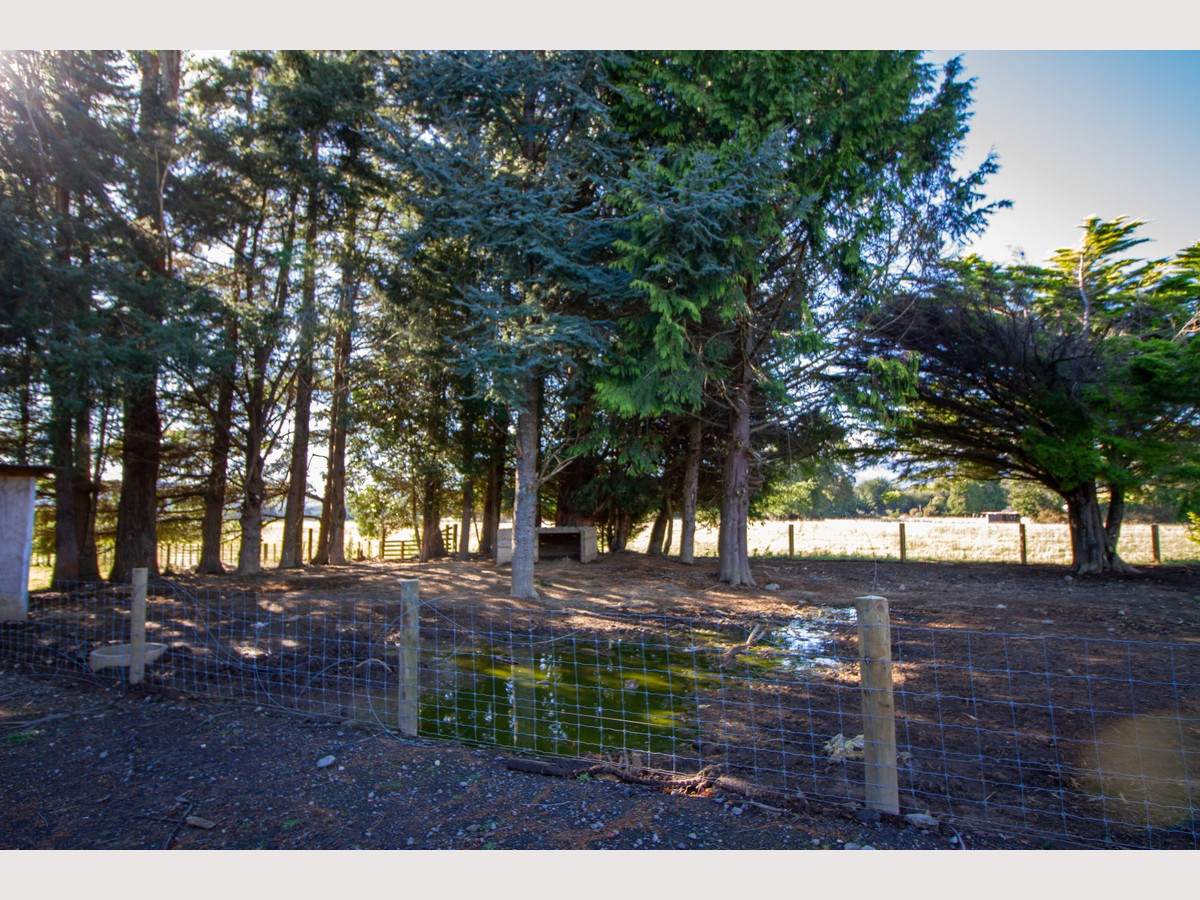 NICE HOME WITH GREAT SHEDS - 5 MINUTES FROM OHAKUNE