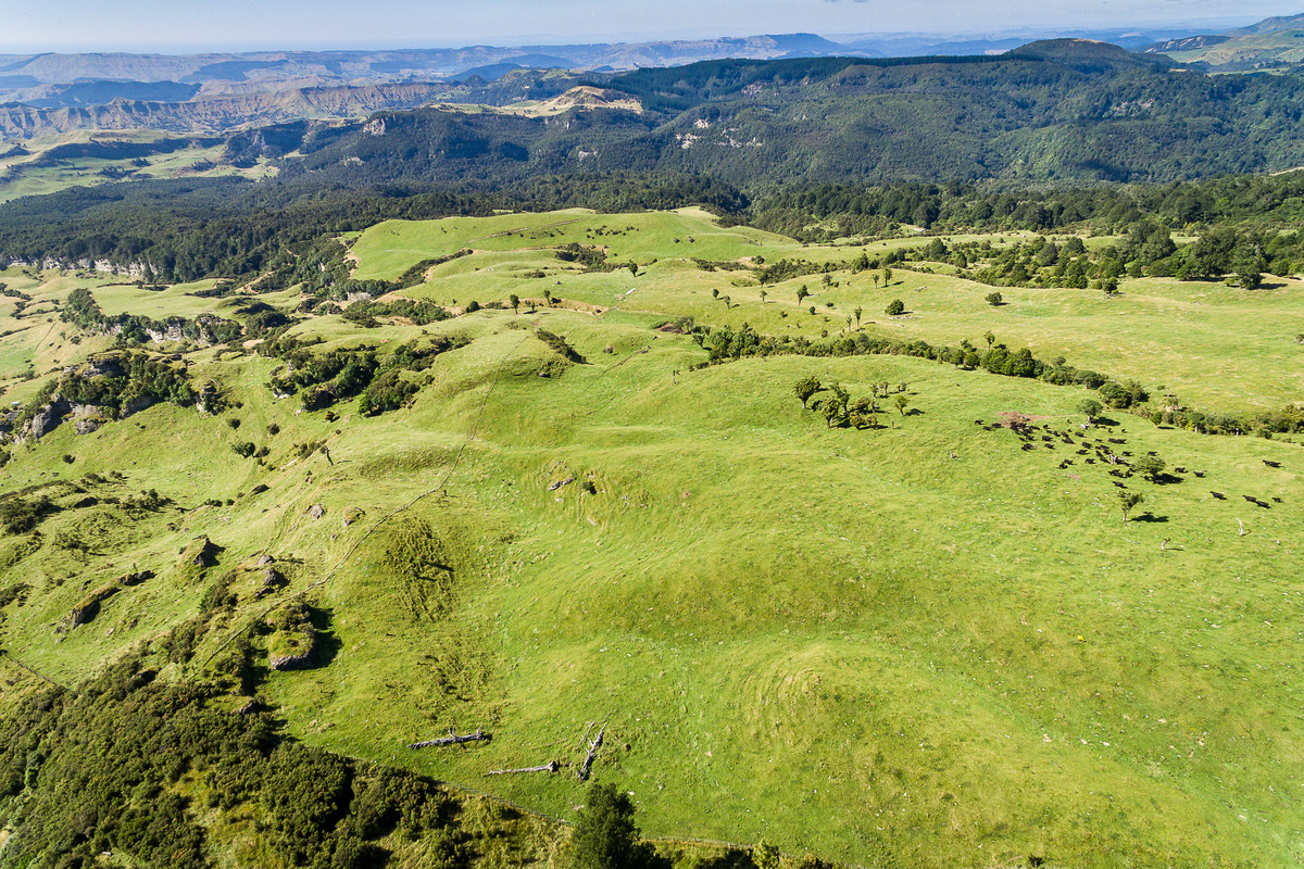 ESCAPE DESTINATION OR SUMMER SAFE FARMING