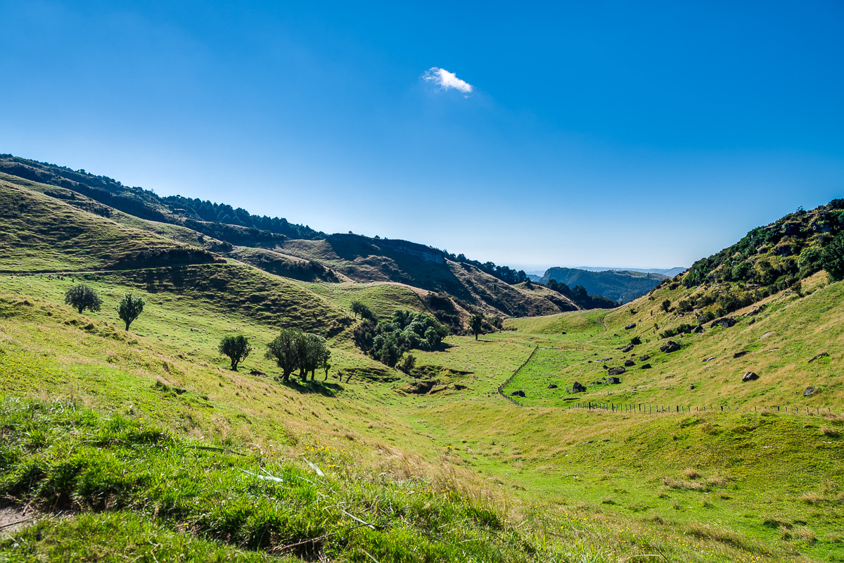 ESCAPE DESTINATION OR SUMMER SAFE FARMING