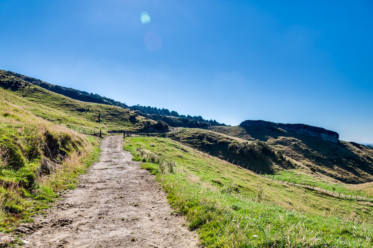 ESCAPE DESTINATION OR SUMMER SAFE FARMING