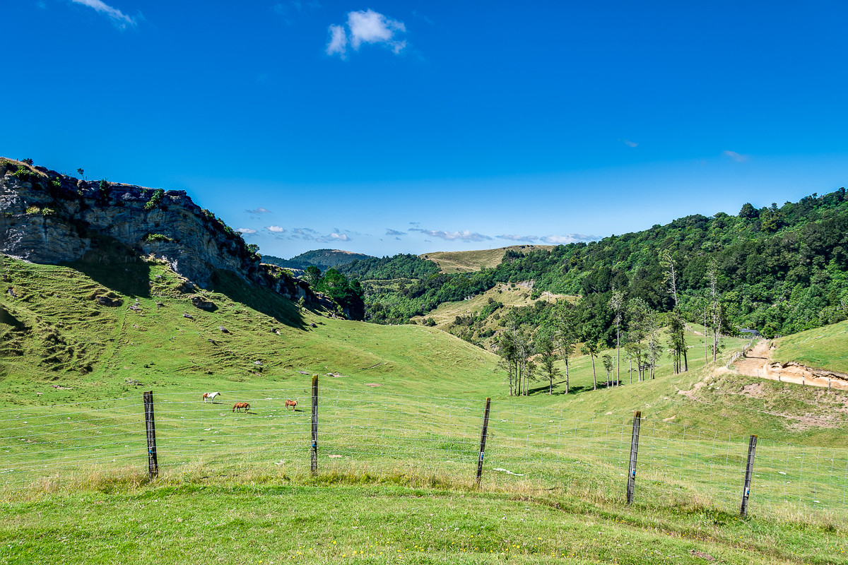 ESCAPE DESTINATION OR SUMMER SAFE FARMING