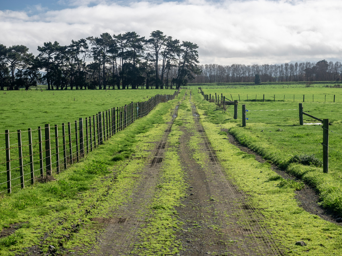 GREAT LOCATION, BALANCED SOILS AND UNLOCKED POTENTIAL