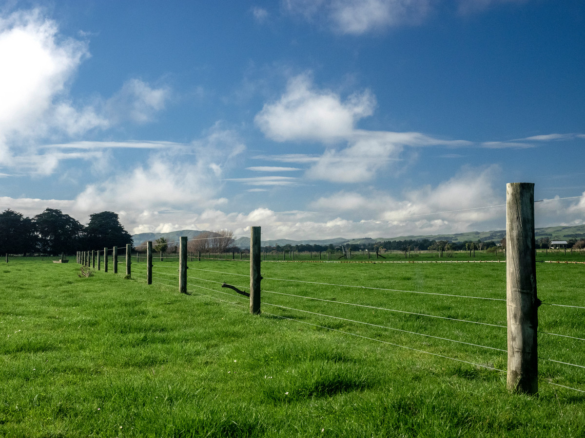 GREAT LOCATION, BALANCED SOILS AND UNLOCKED POTENTIAL