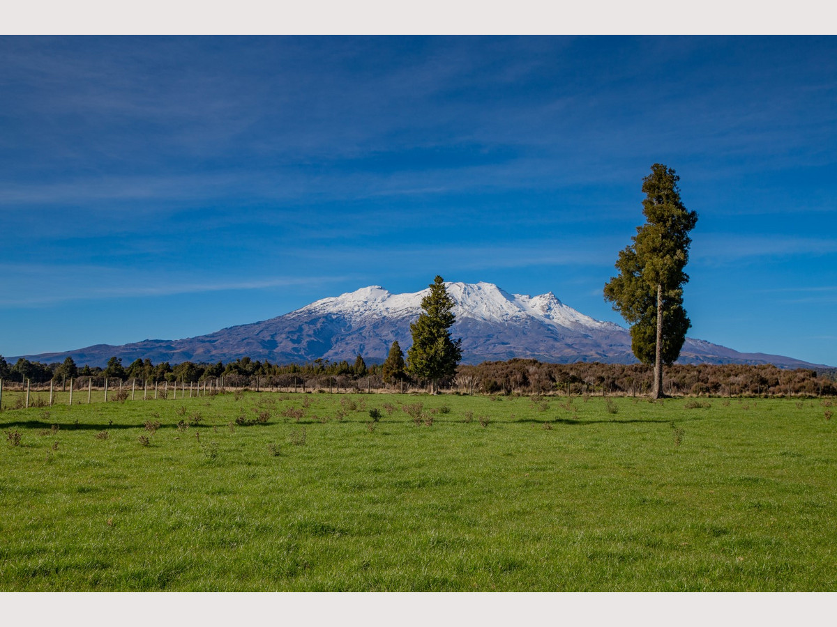 RUAPEHU ALPINE ESTATE