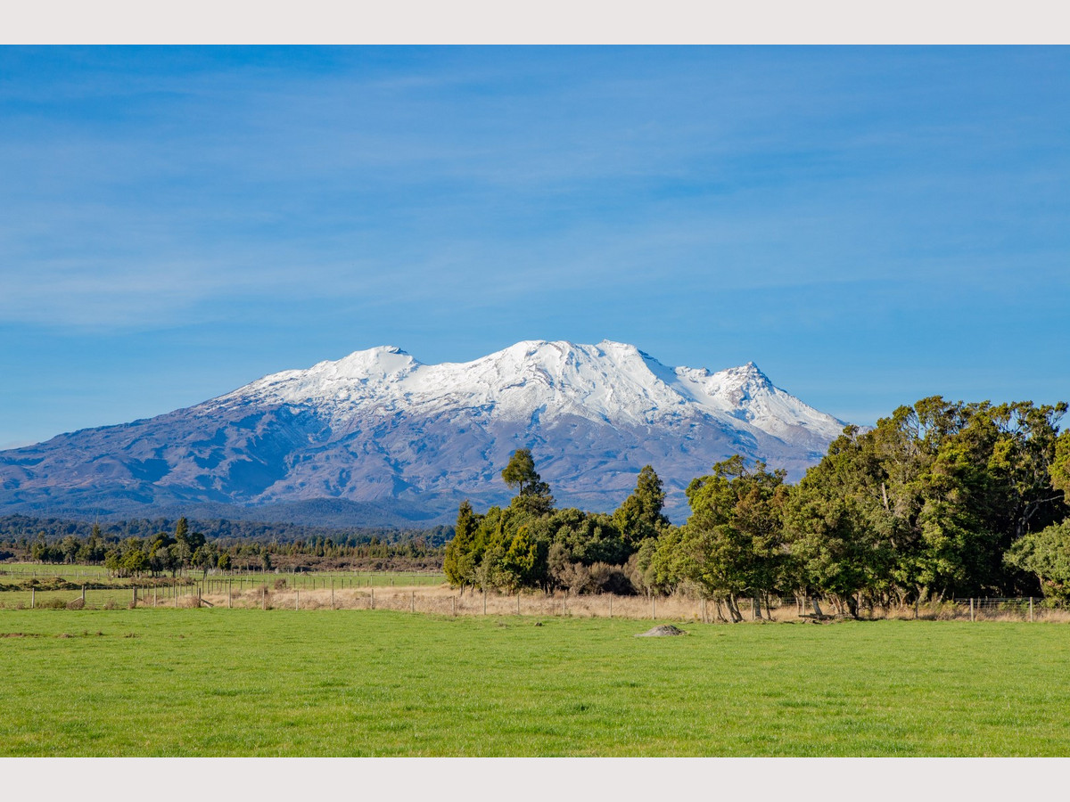 RUAPEHU ALPINE ESTATE