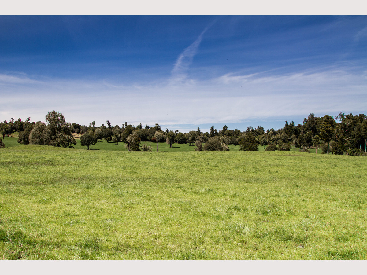 RUAPEHU ALPINE ESTATE