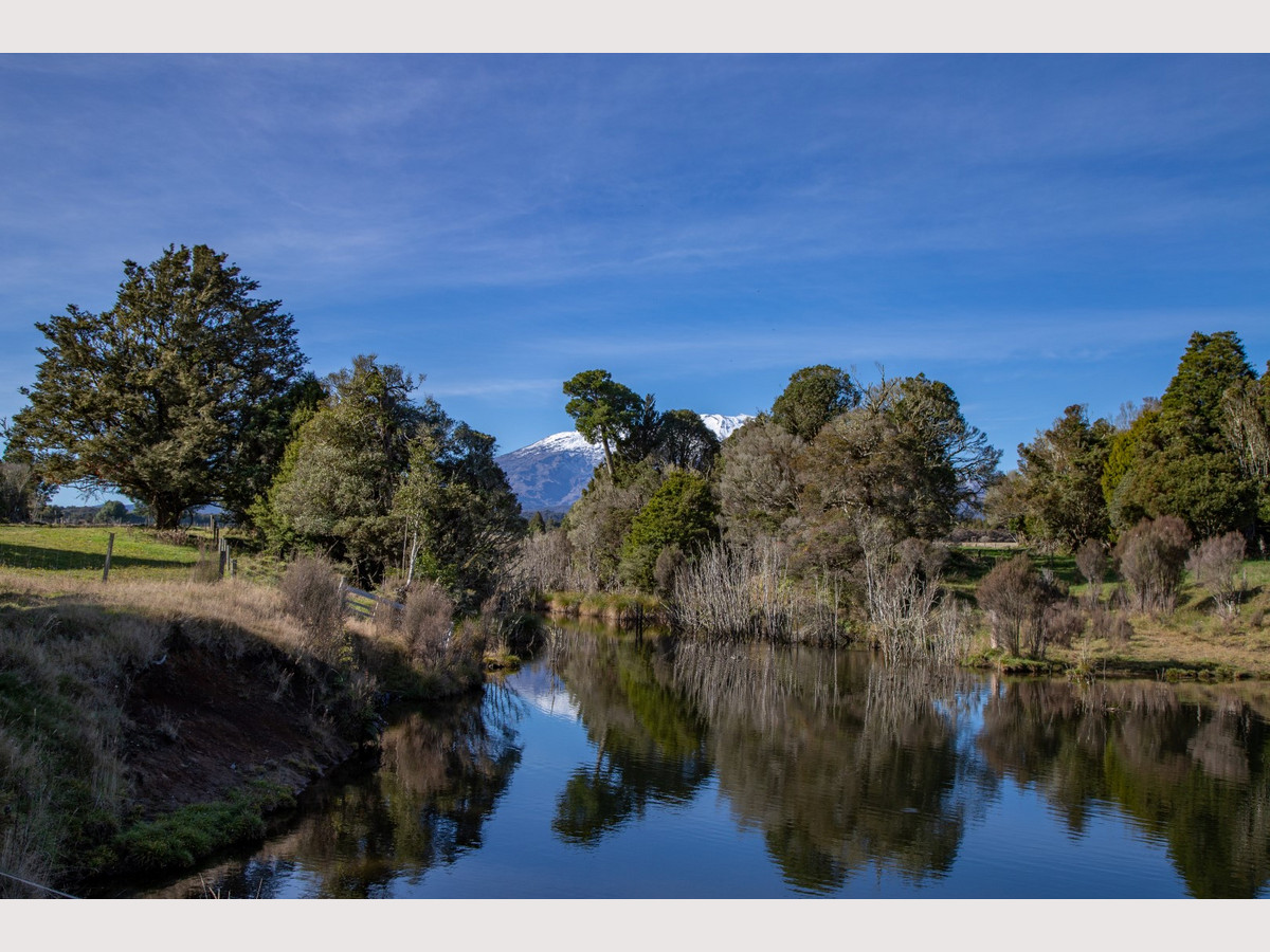 RUAPEHU ALPINE ESTATE