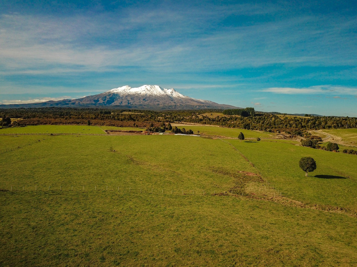 RUAPEHU ALPINE ESTATE