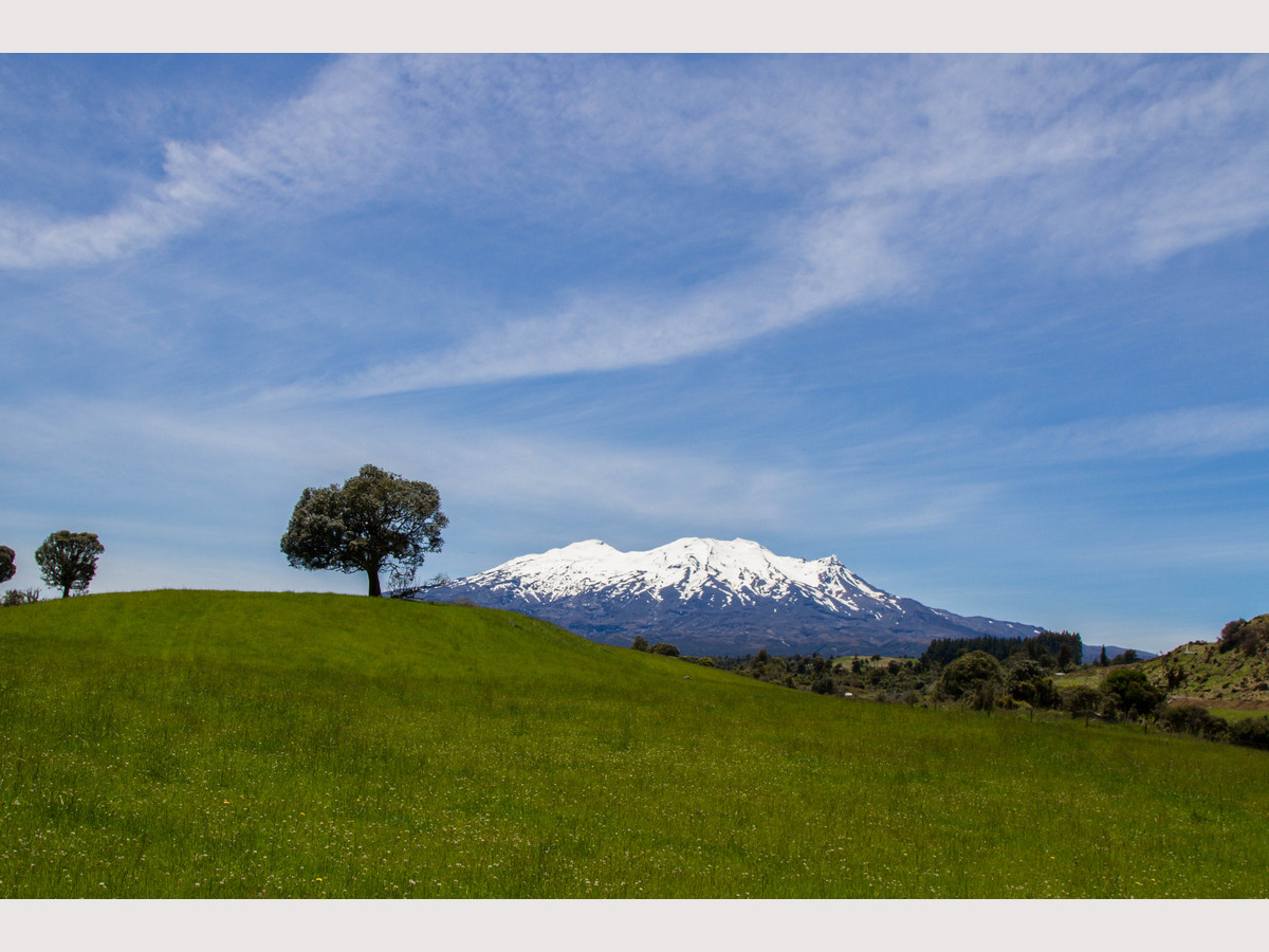 RUAPEHU ALPINE ESTATE