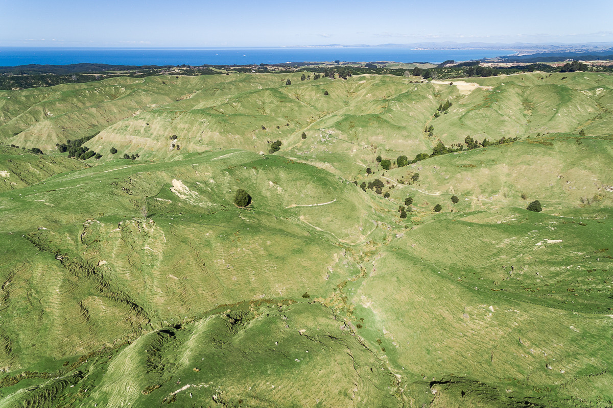 478HA CLEAR HILL COUNTRY - 34km NORTH OF NAPIER