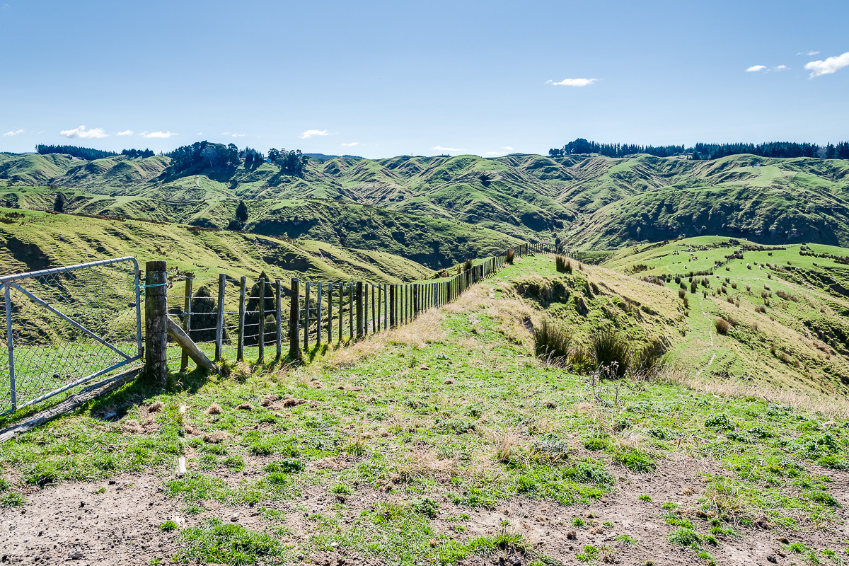 478HA CLEAR HILL COUNTRY - 34km NORTH OF NAPIER