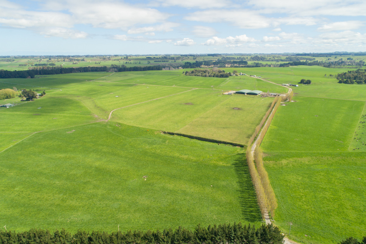 HIGHLY ATTRACTIVE & PRODUCTIVE - 240.40ha