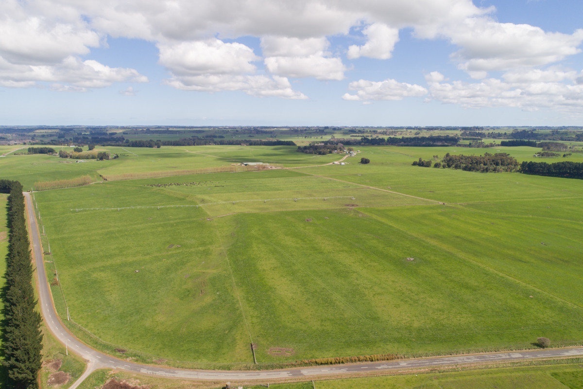 HIGHLY ATTRACTIVE & PRODUCTIVE - 240.40ha
