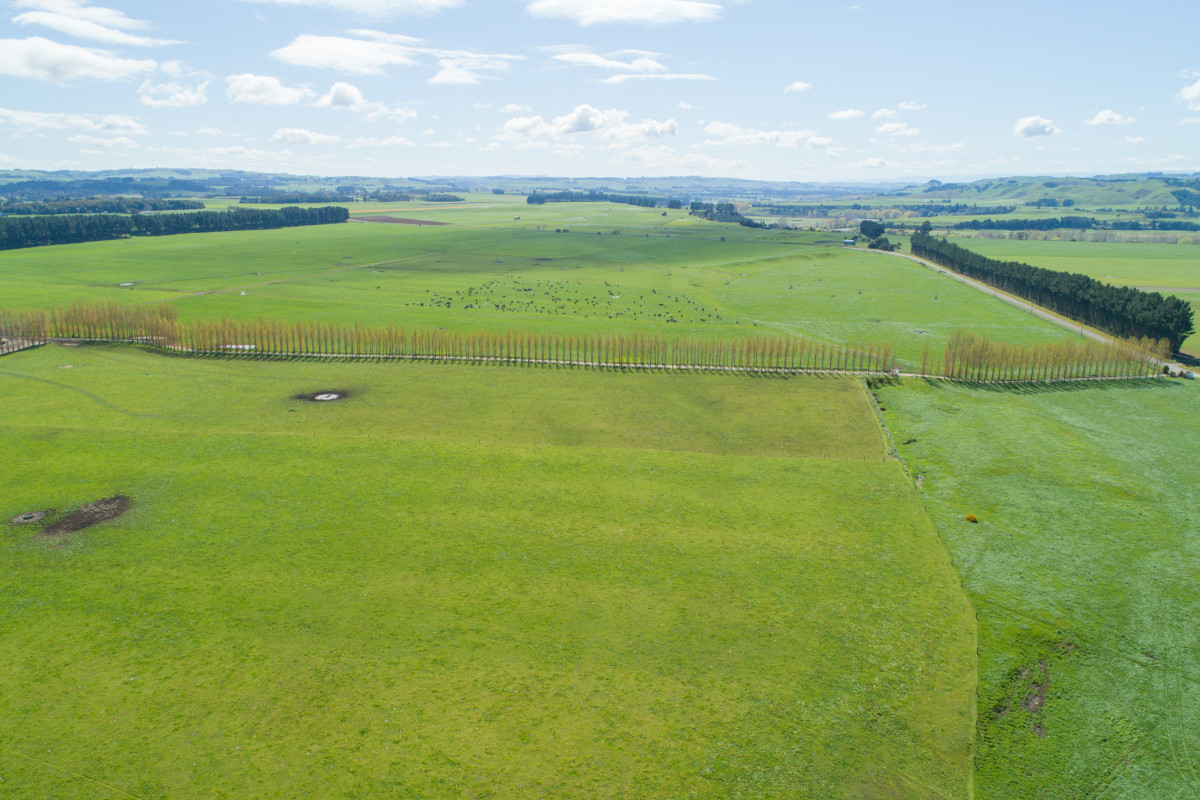 HIGHLY ATTRACTIVE & PRODUCTIVE - 240.40ha