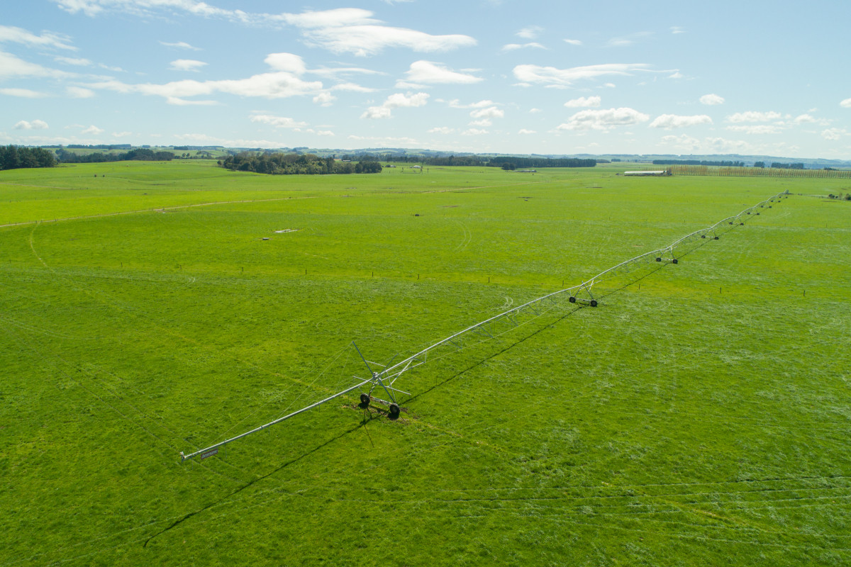 HIGHLY ATTRACTIVE & PRODUCTIVE - 240.40ha