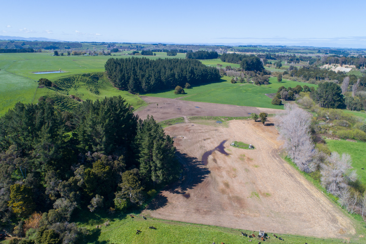 HIGHLY ATTRACTIVE & PRODUCTIVE - 240.40ha