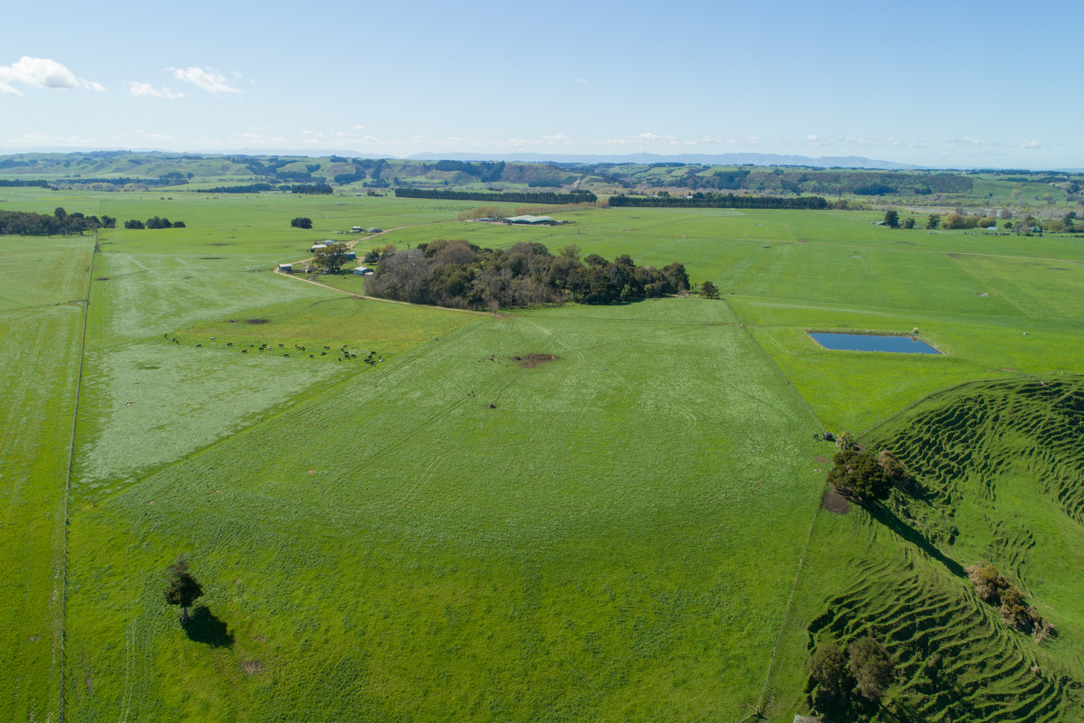 HIGHLY ATTRACTIVE & PRODUCTIVE - 240.40ha