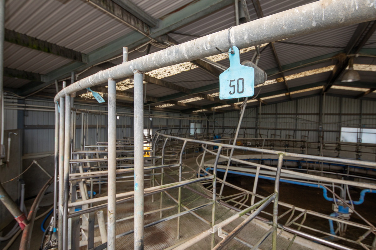 HIGHLY ATTRACTIVE & PRODUCTIVE - 240.40ha