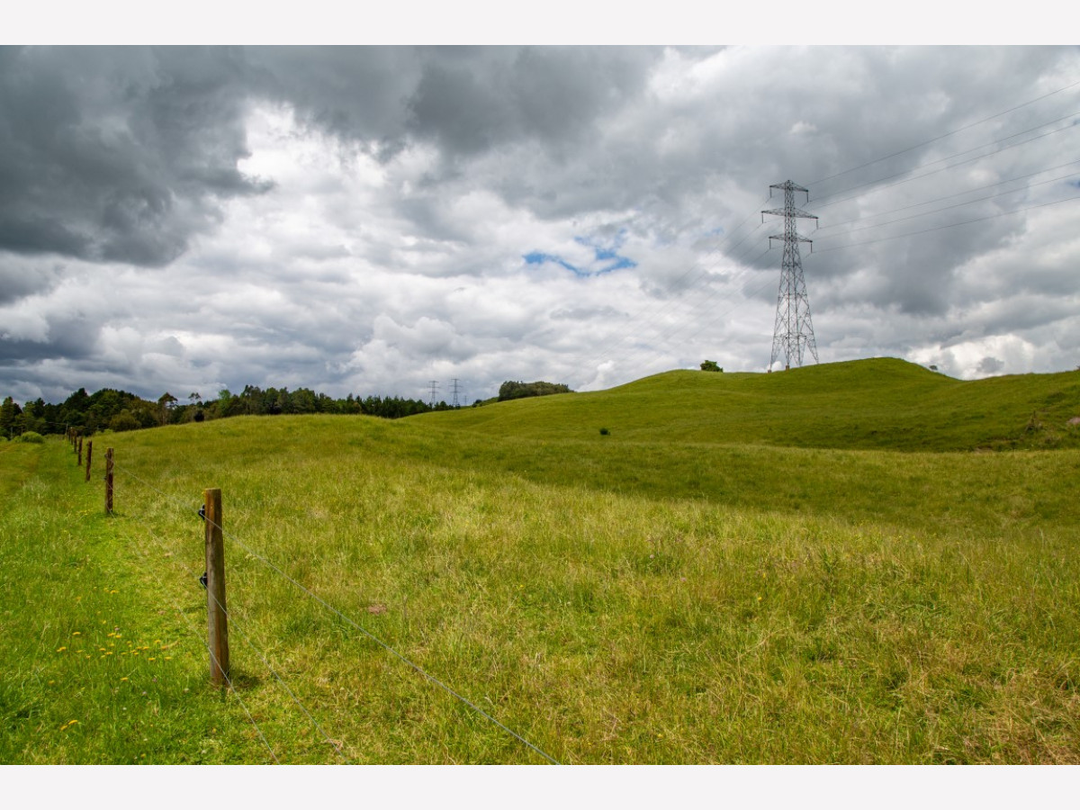 BENNEYDALE CATTLE FINISHING