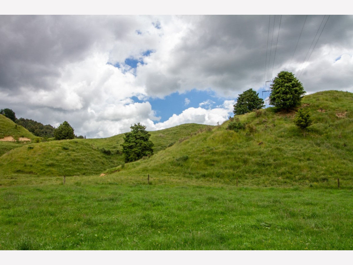 BENNEYDALE CATTLE FINISHING