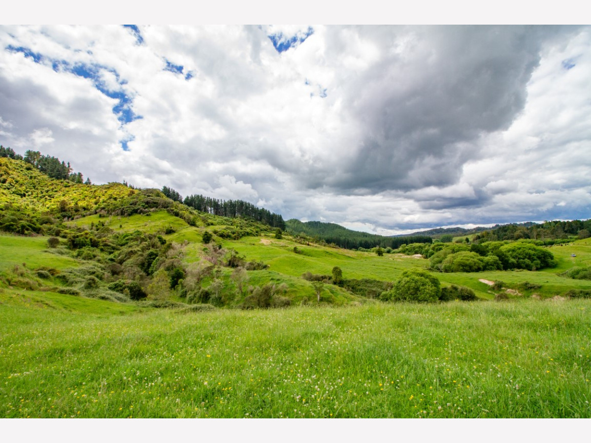 BENNEYDALE CATTLE FINISHING