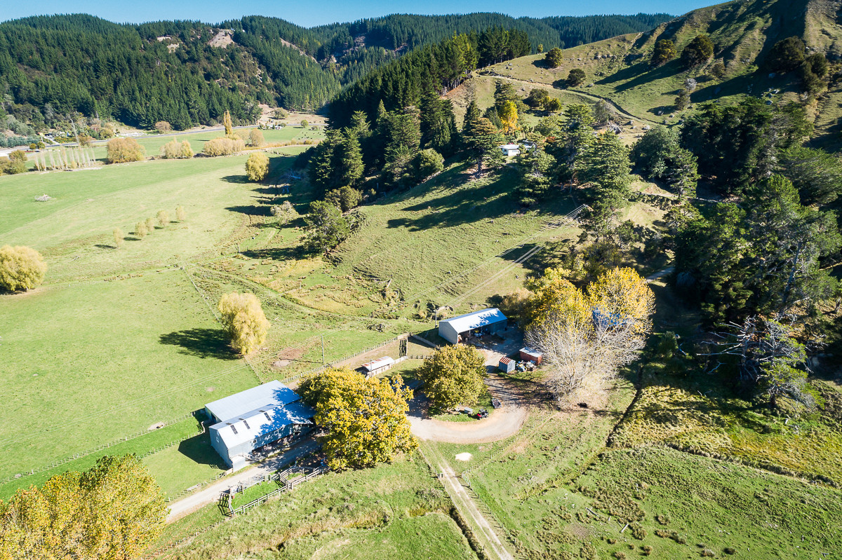 317 HECTARES JUST OVER 20 MINUTES FROM NAPIER