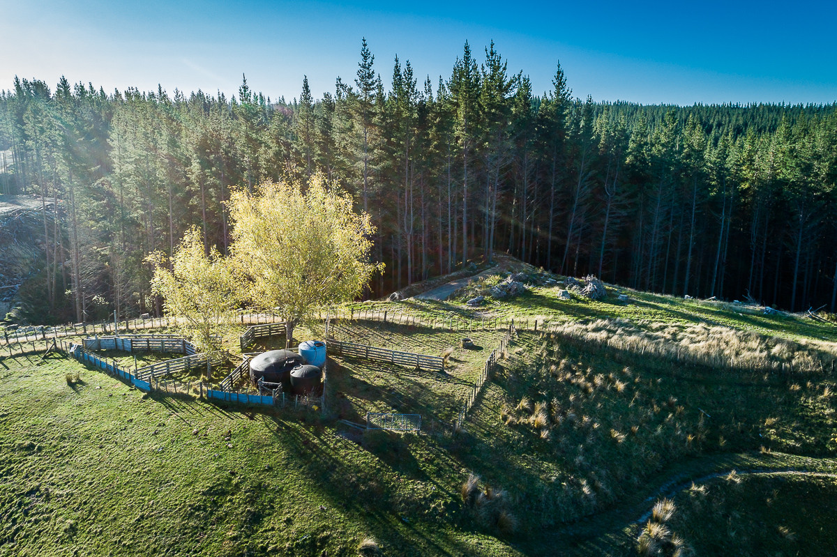 317 HECTARES JUST OVER 20 MINUTES FROM NAPIER