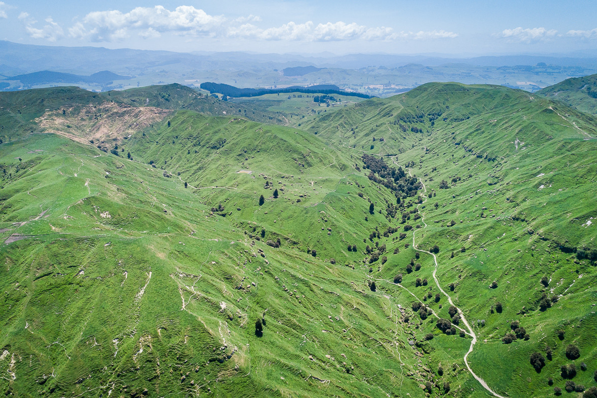 415ha TUTIRA HILL COUNTRY - FIRST FARM OPPORTUNITY