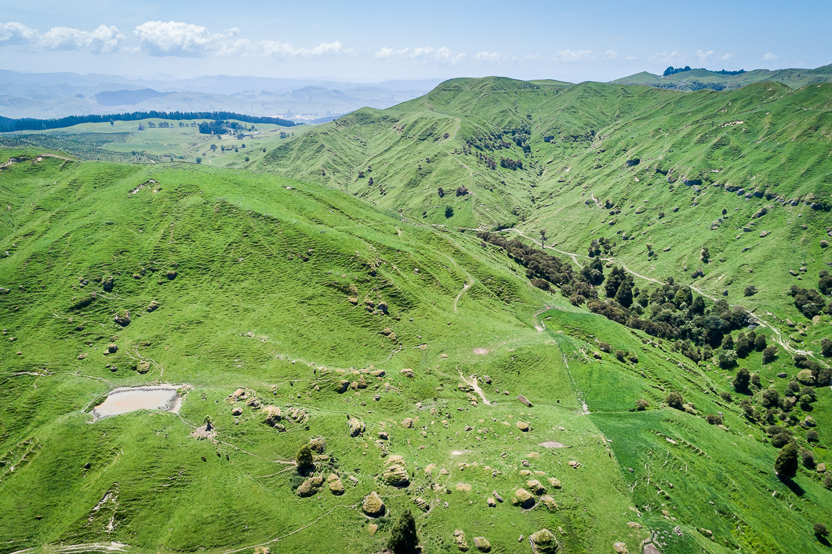415ha TUTIRA HILL COUNTRY - FIRST FARM OPPORTUNITY