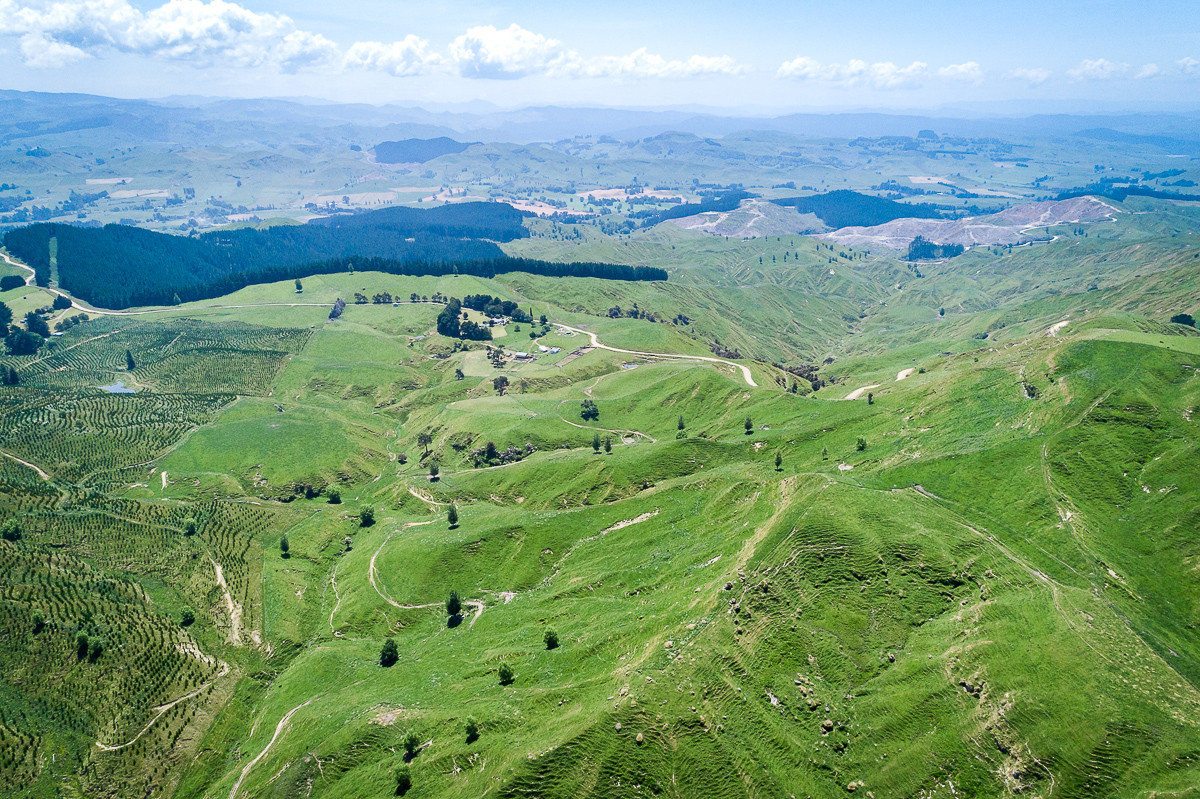 415ha TUTIRA HILL COUNTRY - FIRST FARM OPPORTUNITY