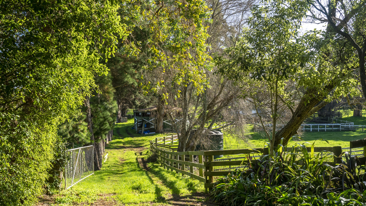 Country Life in Town! Quality Home on 17ha