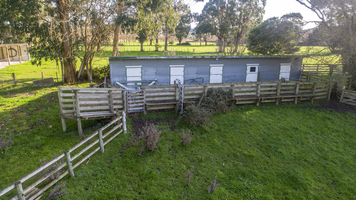 Country Life in Town! Quality Home on 17ha