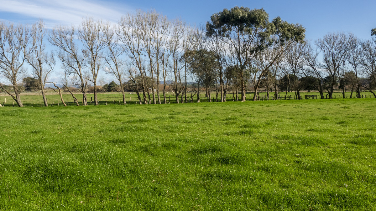 Country Life in Town! Quality Home on 17ha