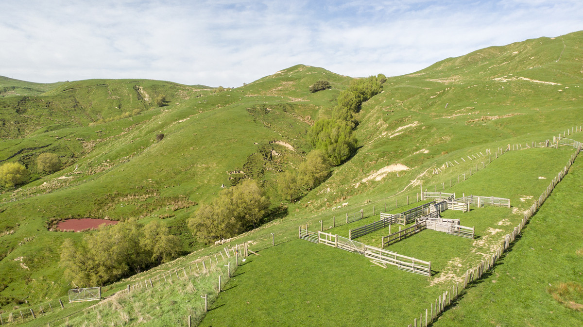 HANDY BLOCK-FIRST FARM, RUN OFF OR SUMMER GRAZING