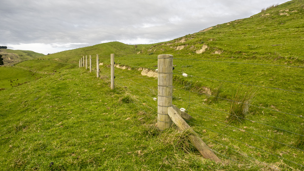 HANDY BLOCK-FIRST FARM, RUN OFF OR SUMMER GRAZING