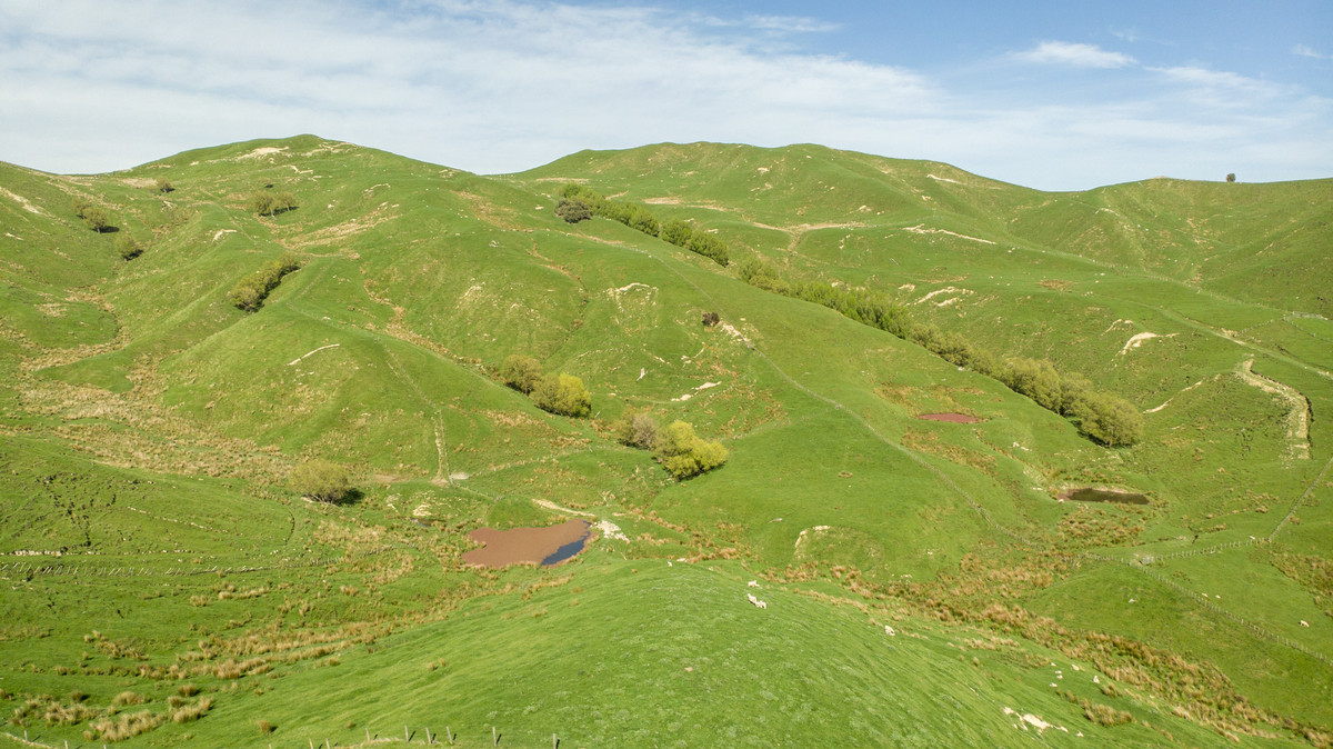 HANDY BLOCK-FIRST FARM, RUN OFF OR SUMMER GRAZING