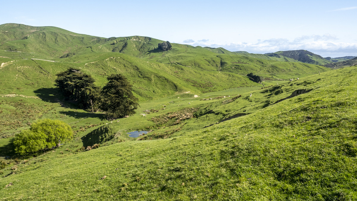 HANDY BLOCK-FIRST FARM, RUN OFF OR SUMMER GRAZING