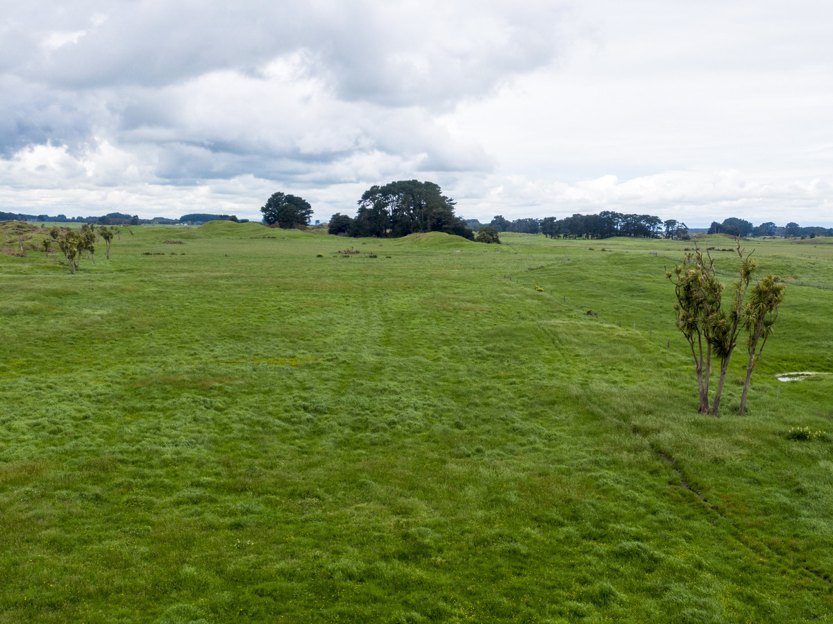 WELL DEVELOPED BARELAND SAND COUNTRY