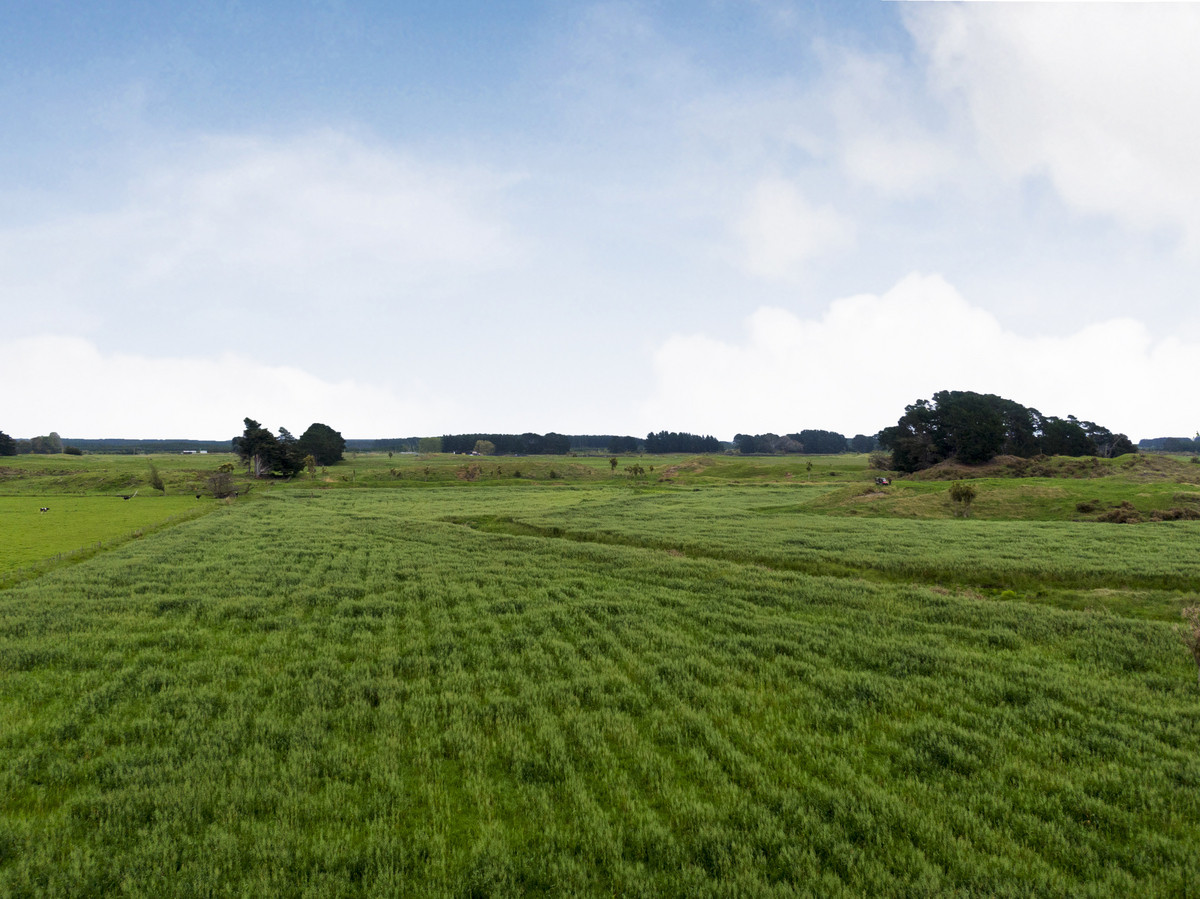 WELL DEVELOPED BARELAND SAND COUNTRY