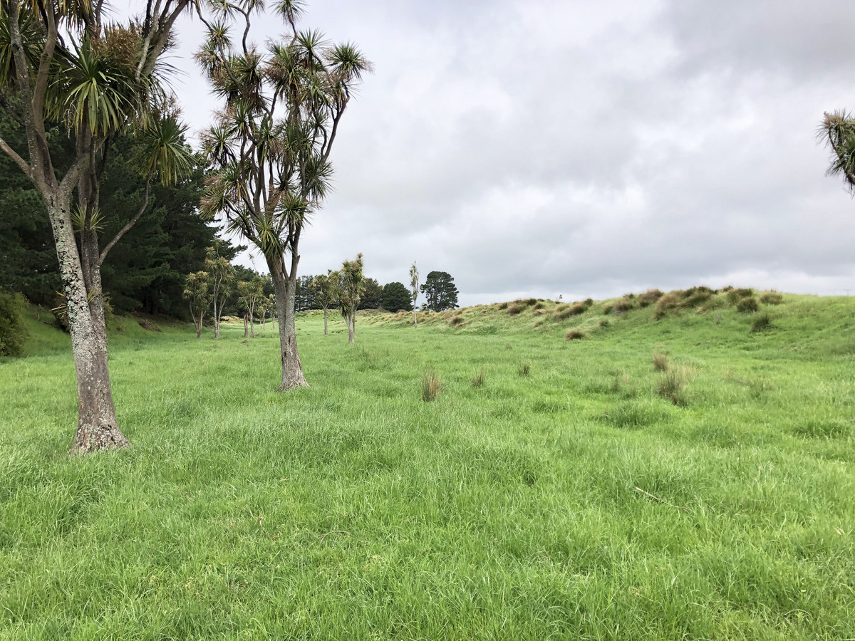 WELL DEVELOPED BARELAND SAND COUNTRY