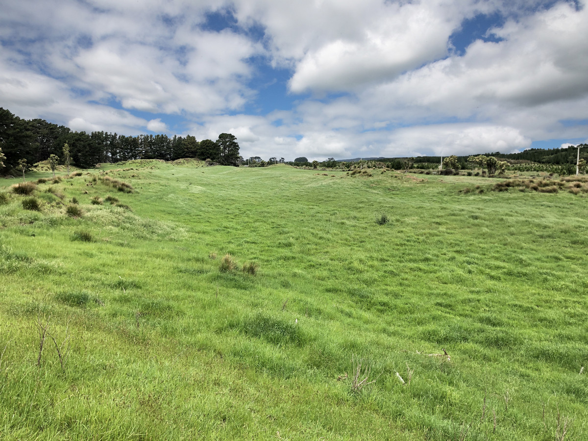 WELL DEVELOPED BARELAND SAND COUNTRY