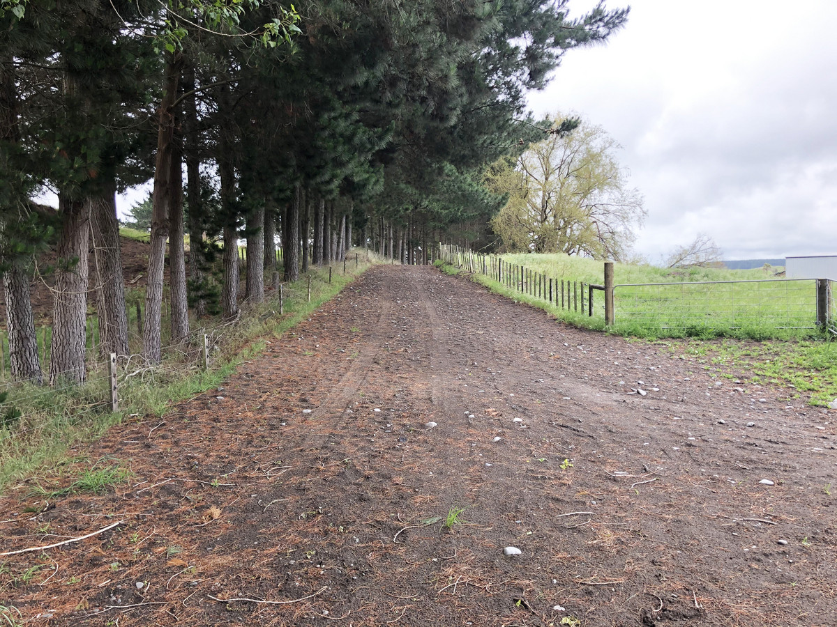 WELL DEVELOPED BARELAND SAND COUNTRY