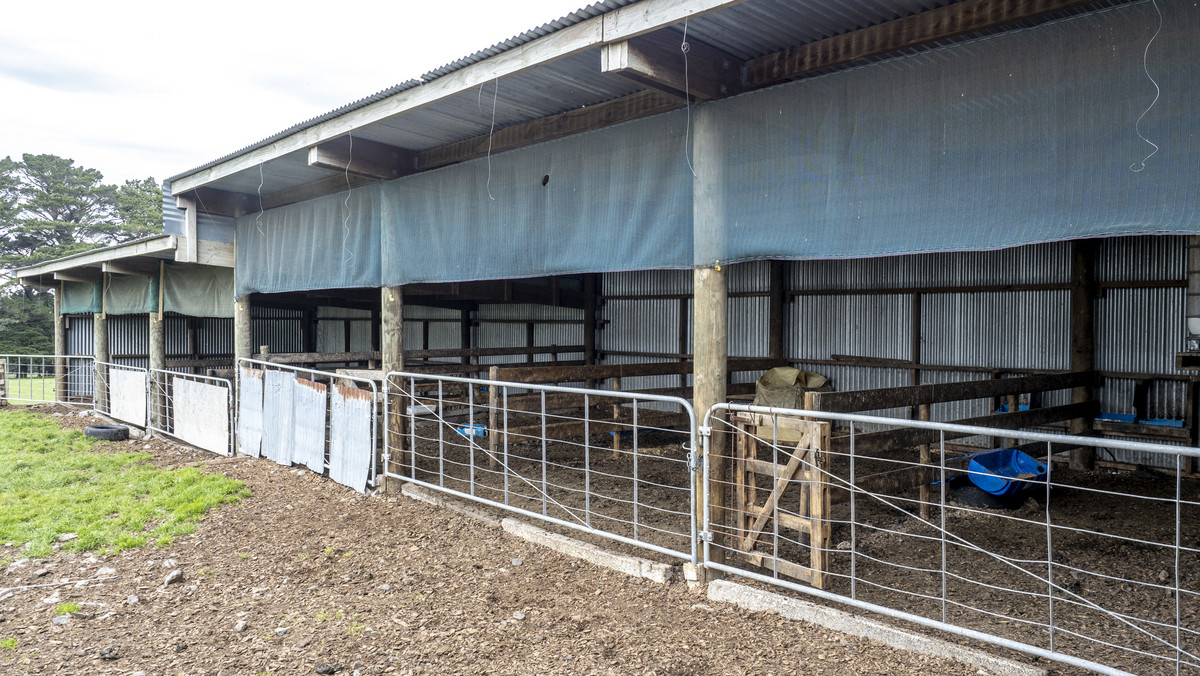 GREAT BALANCE, SELF-CONTAINED UNIT-264HA
