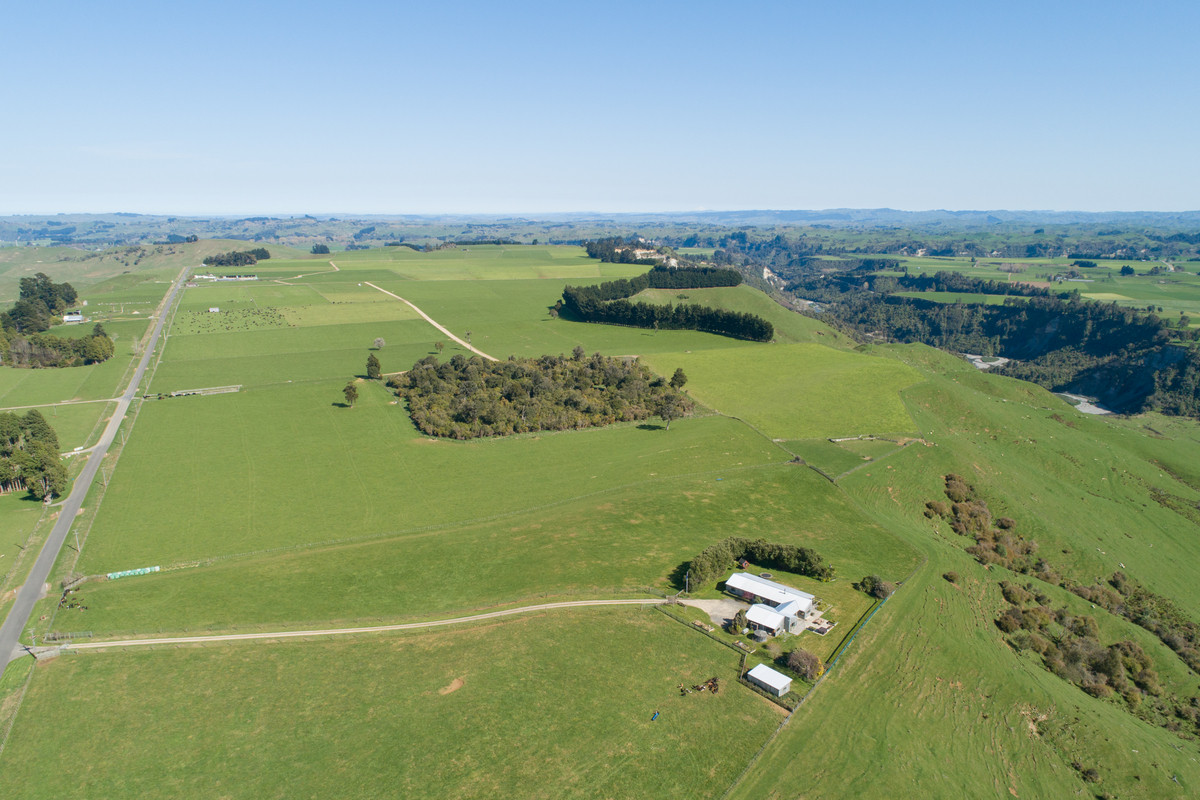 PICTURESQUE SHEEP, BEEF & DAIRY - 305.4HA