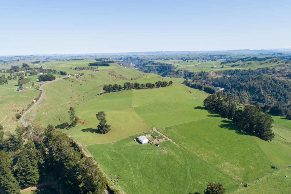 PICTURESQUE SHEEP, BEEF & DAIRY - 305.4HA