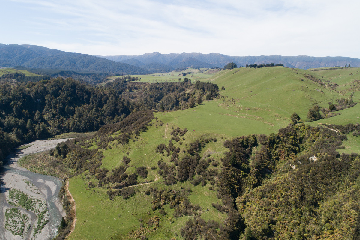 PICTURESQUE SHEEP, BEEF & DAIRY - 305.4HA