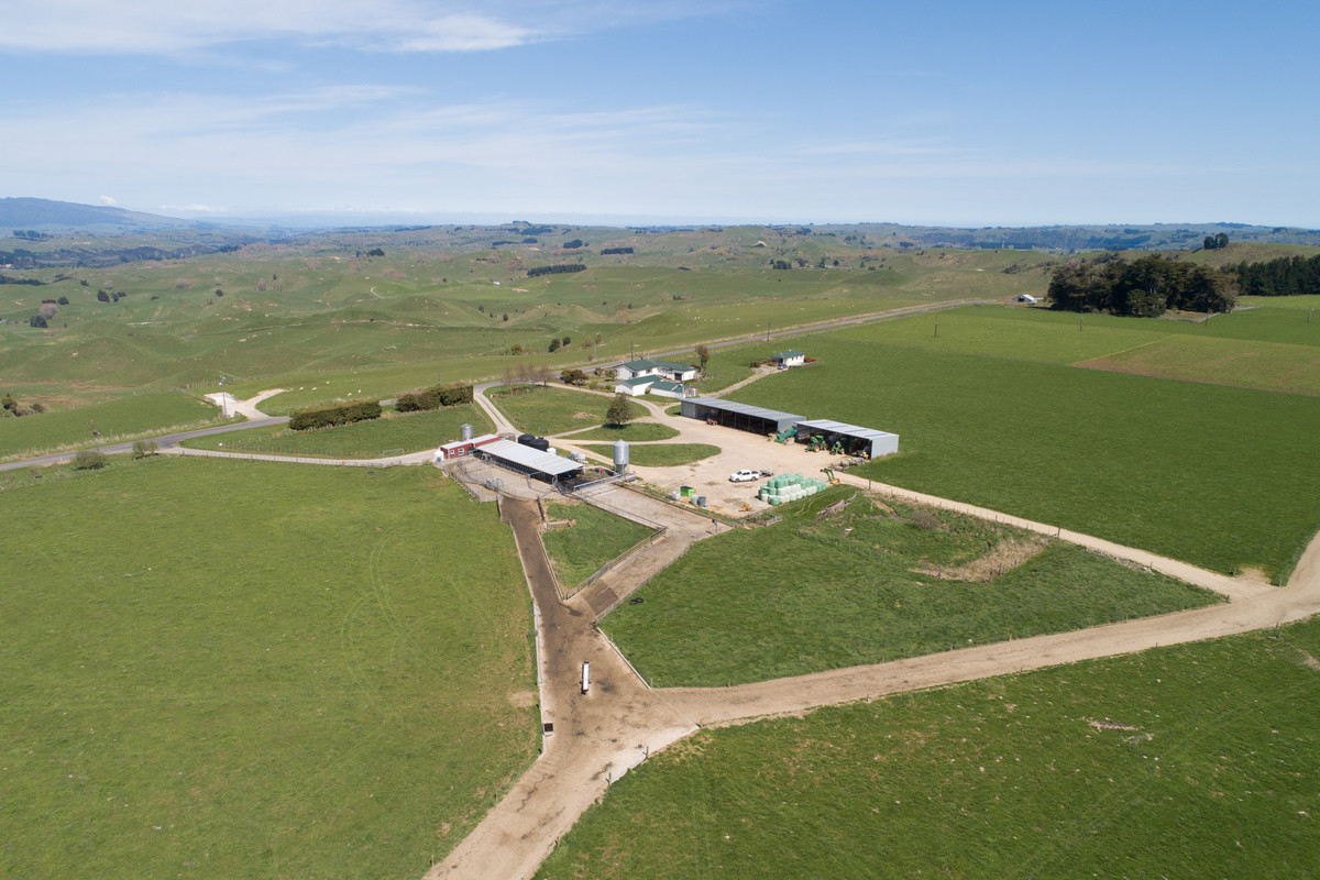 PICTURESQUE SHEEP, BEEF & DAIRY - 305.4HA