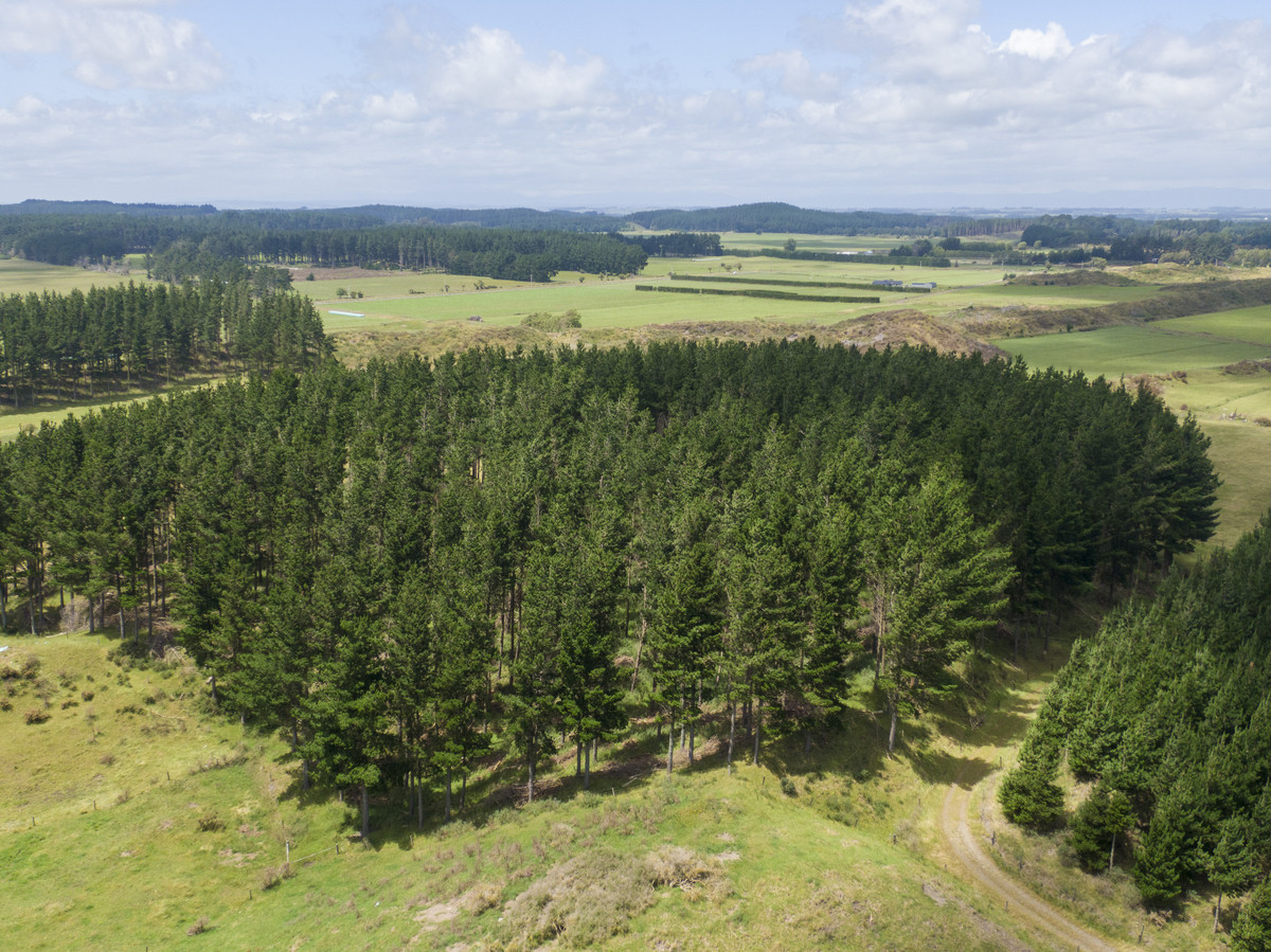 BALANCED SAND COUNTRY BLOCK - 64.3HA