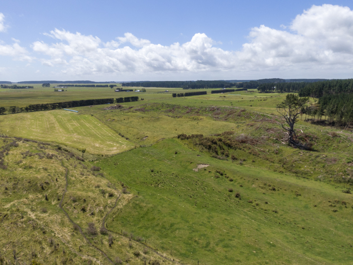 BALANCED SAND COUNTRY BLOCK - 64.3HA