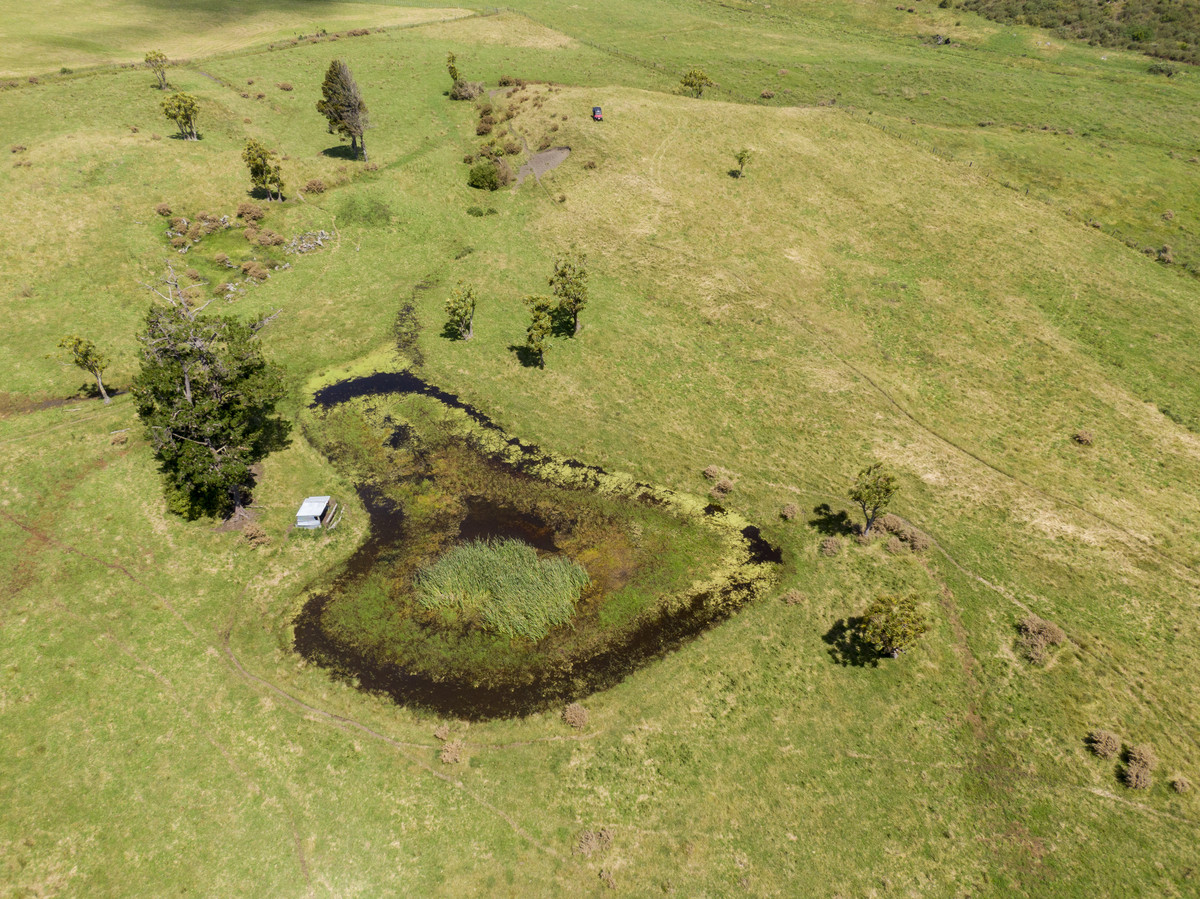 BALANCED SAND COUNTRY BLOCK - 64.3HA